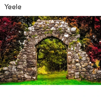 Осенний пейзаж Yeele, фон для фотосессии, Каменная арка, красные листья, фоновая фотография для душа ребенка для фотостудии
